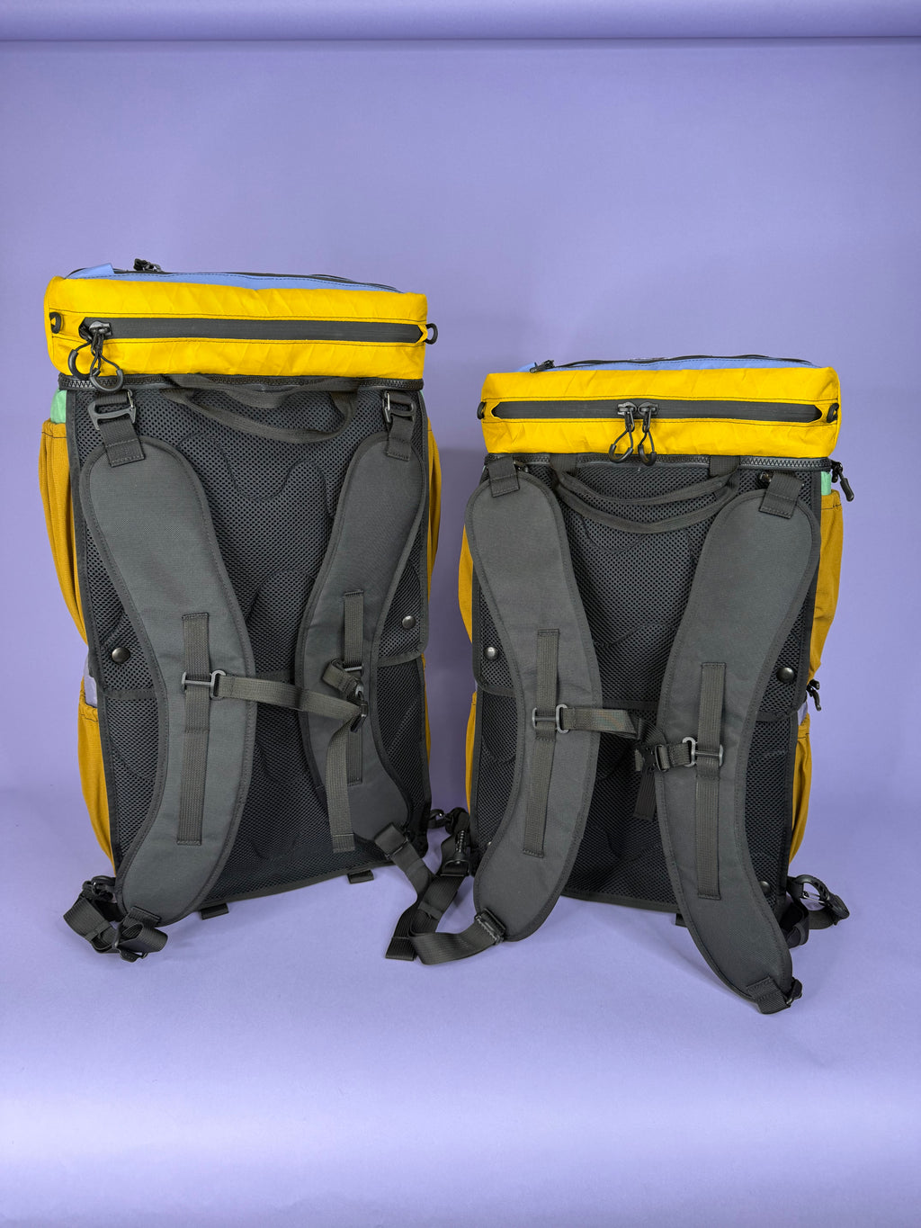 Green/Purple Backpack Pannier