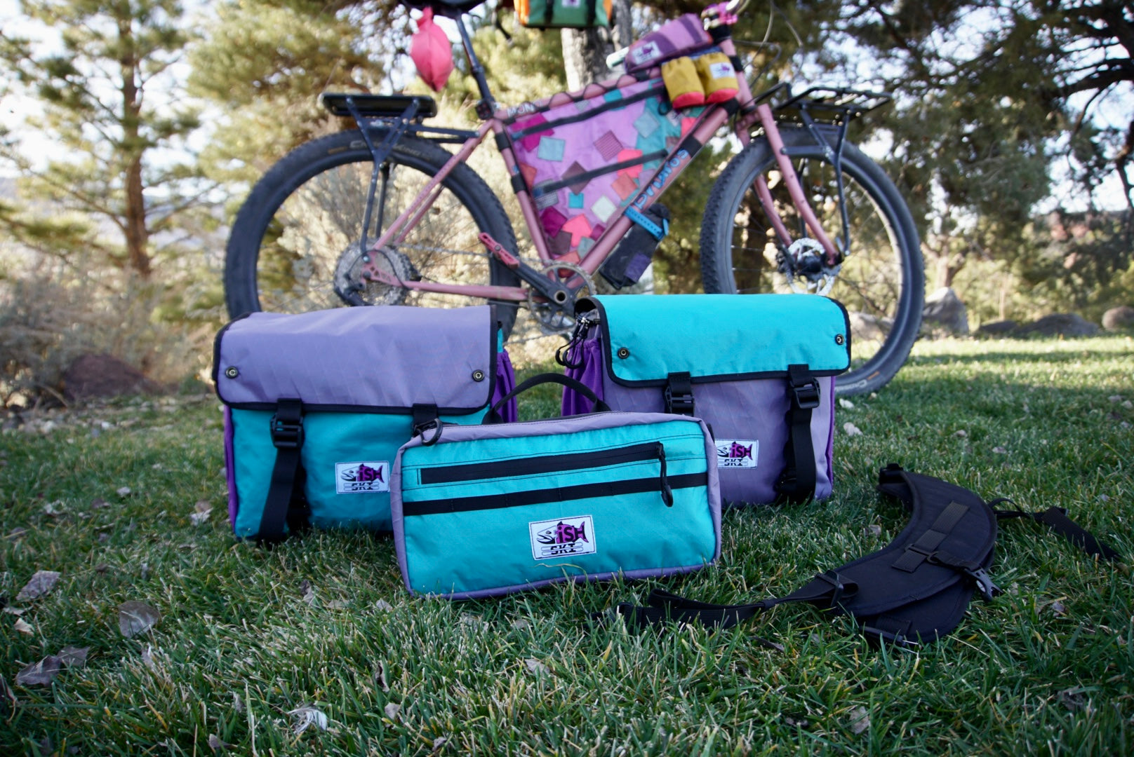 Purple/Teal Backpack Pannier