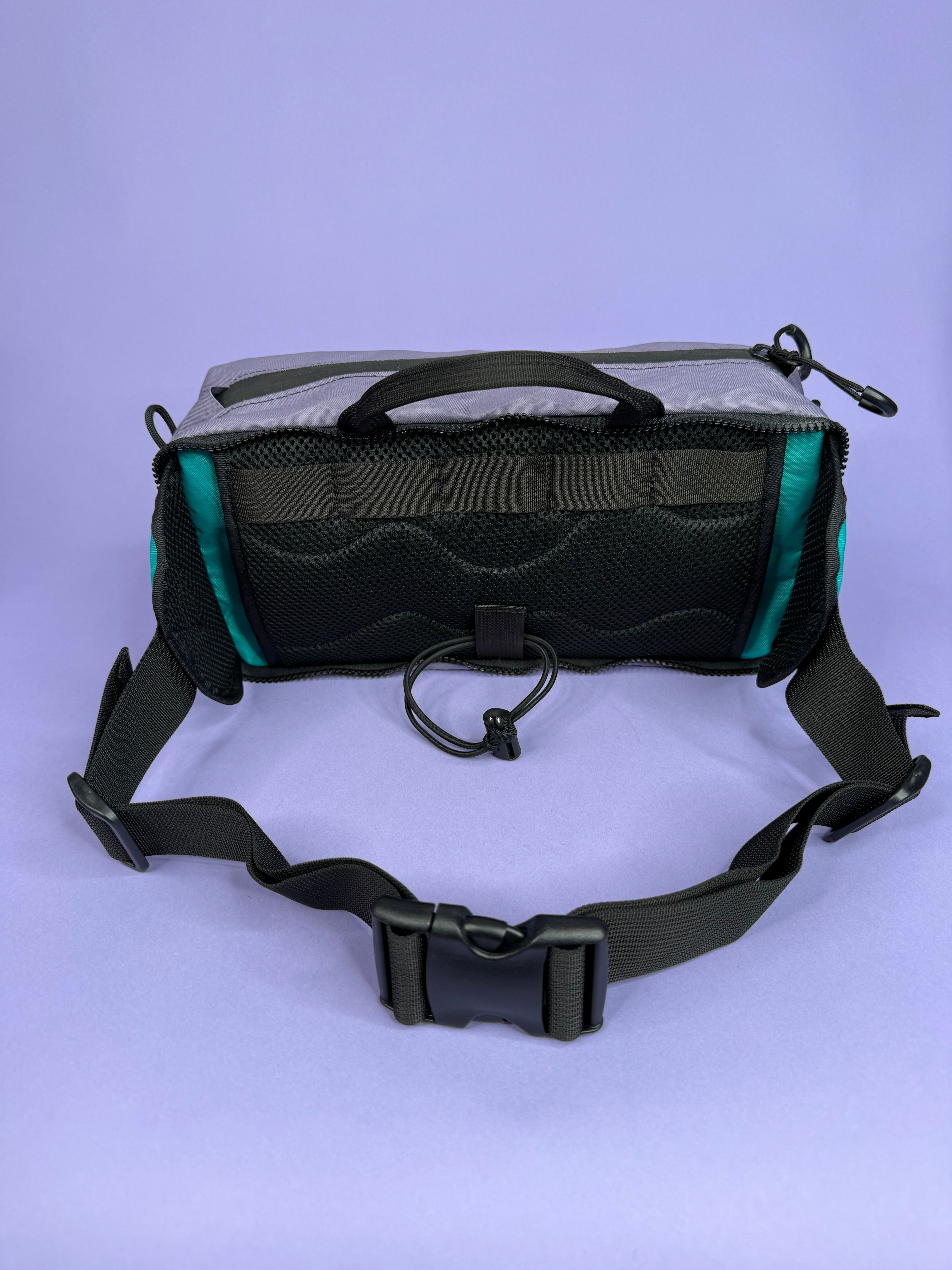 Purple/Teal Backpack Pannier