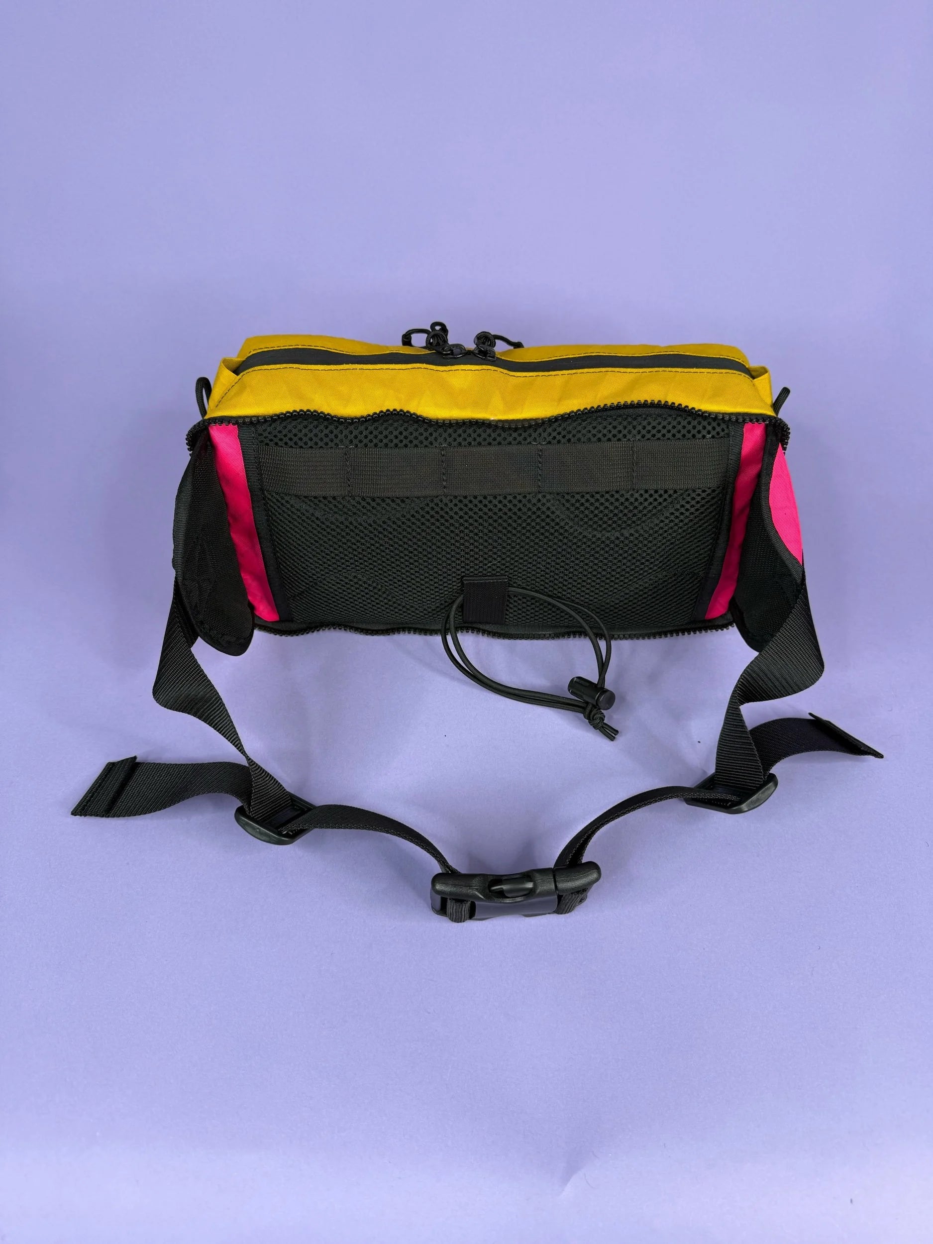 Goldenrod/Teal/Pink Backpack Pannier