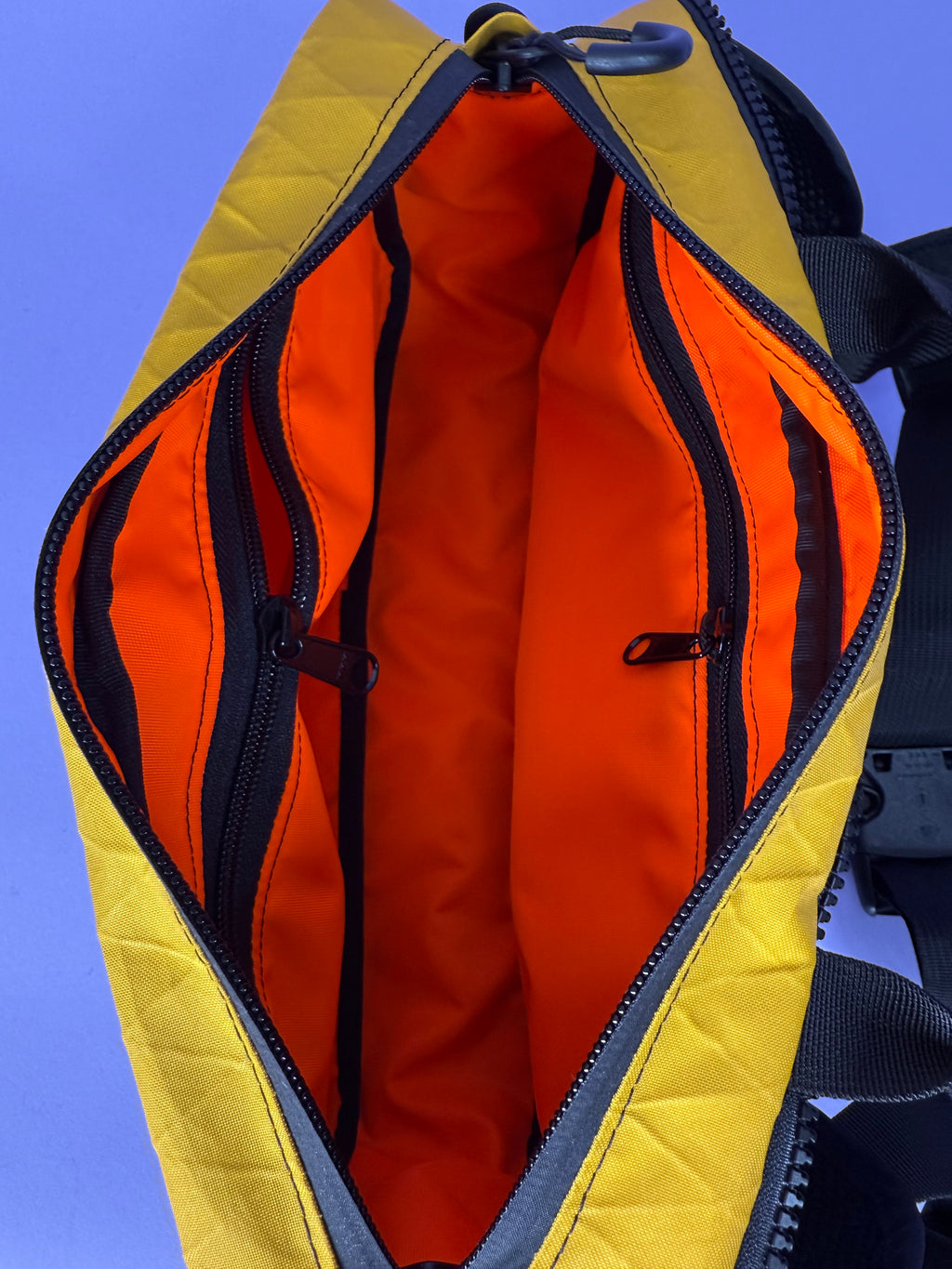 Green/Purple Backpack Pannier