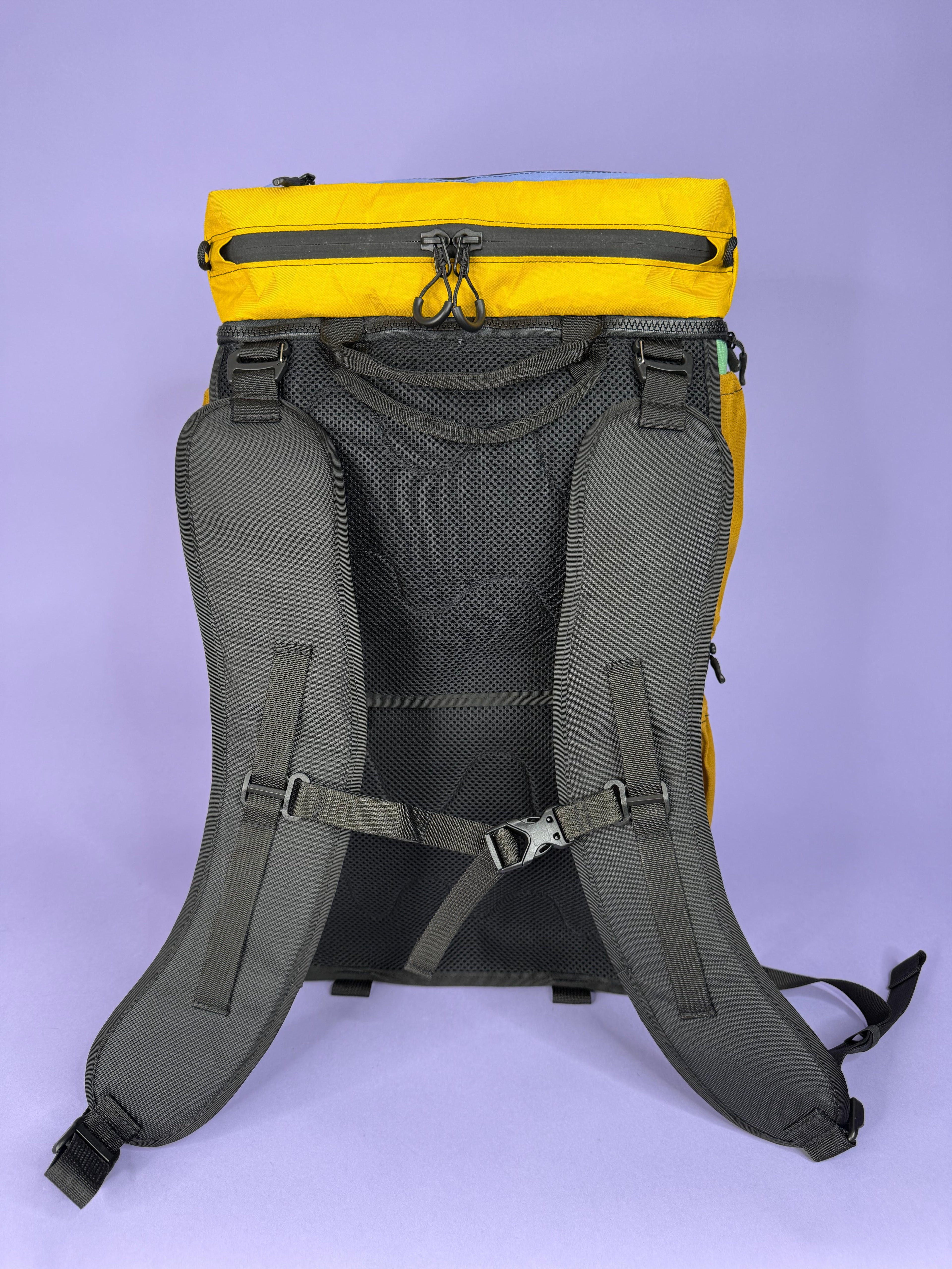 Green/Purple Backpack Pannier