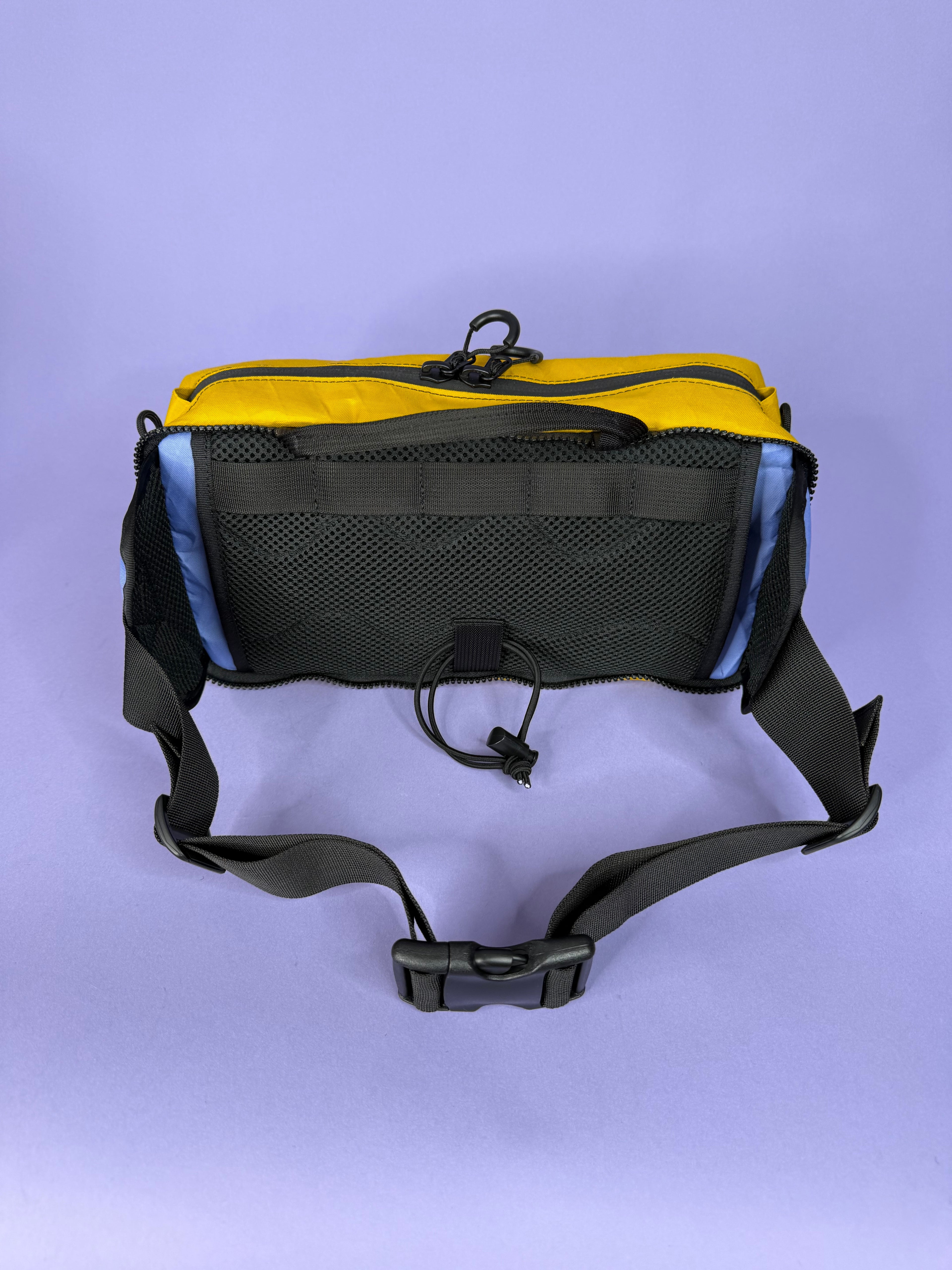 Green/Purple Backpack Pannier