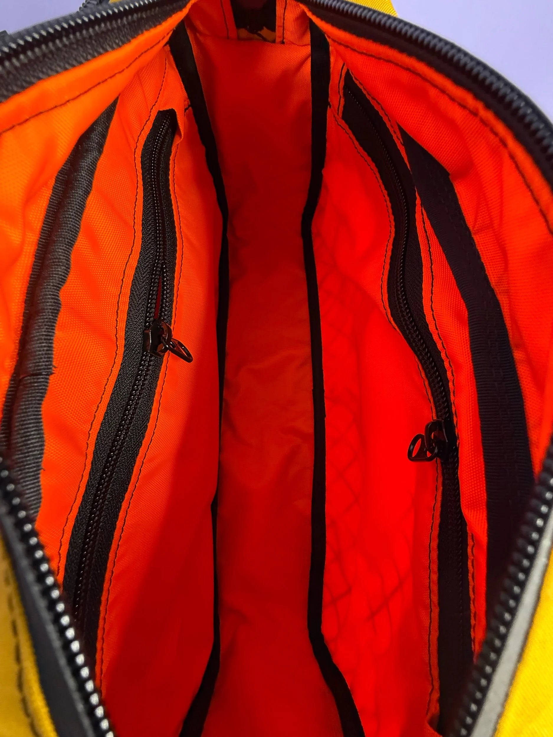 Goldenrod/Teal/Pink Backpack Pannier