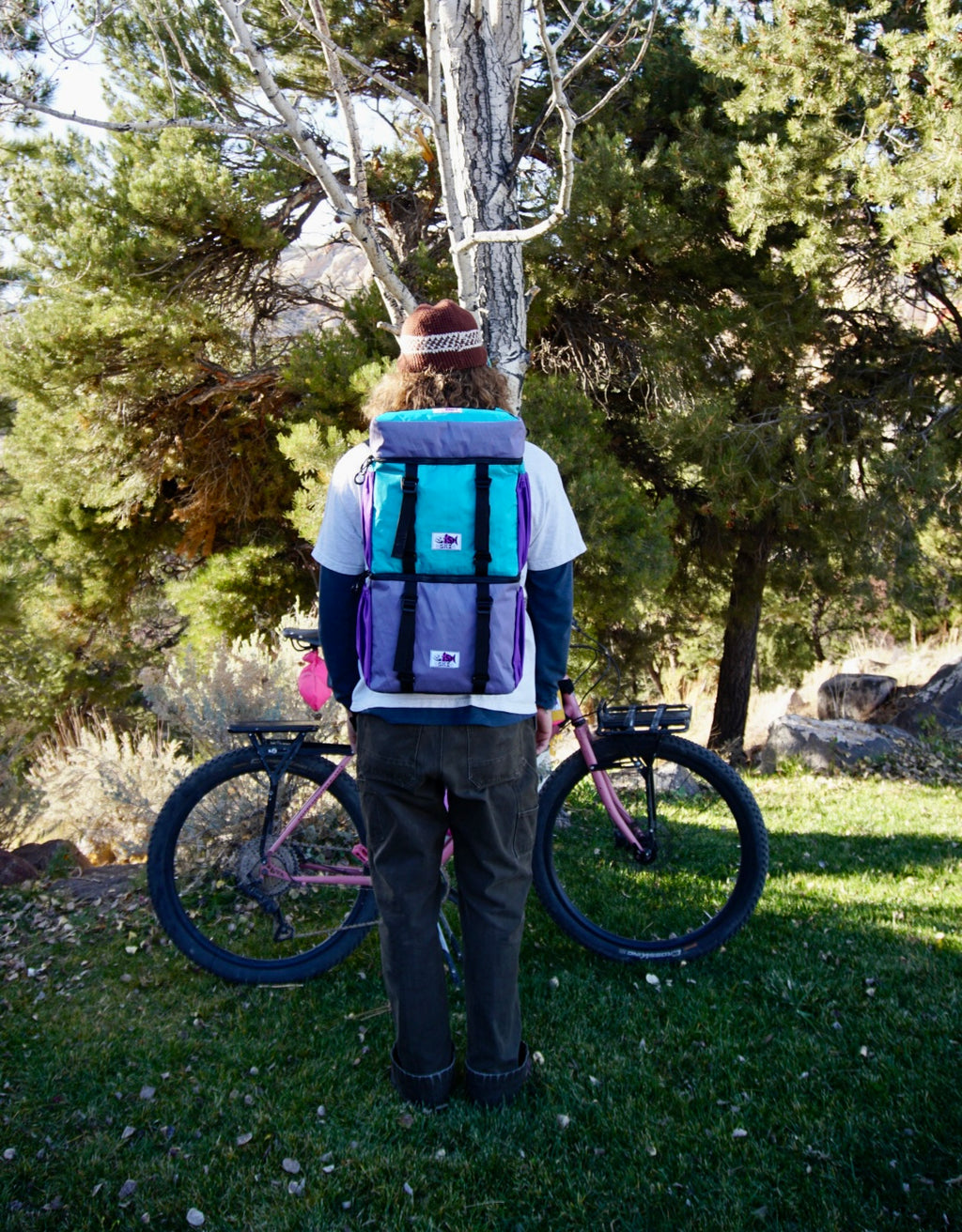 Purple/Teal Backpack Pannier