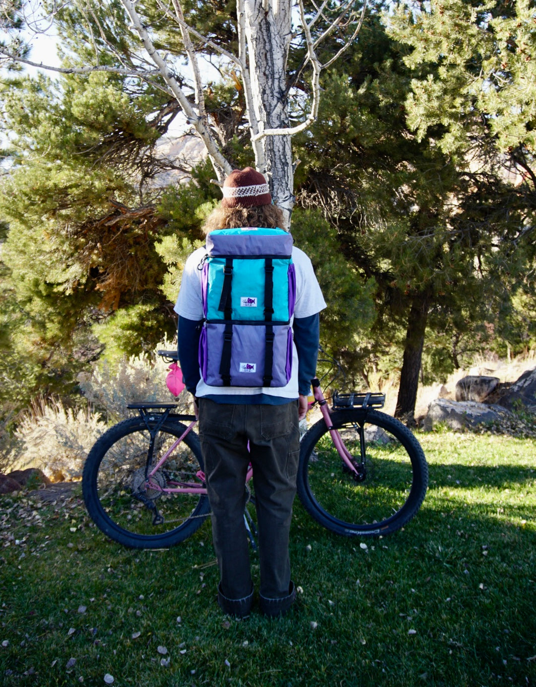Purple/Teal Backpack Pannier